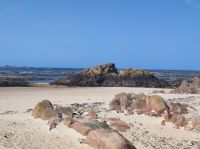Bucht von 