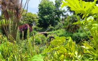 Candie Gardens in St. Peter Port auf Guernsey