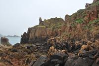 Corbiére - Felsen