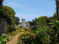 DSCN0208