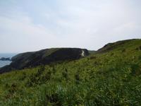 DSCN0234
