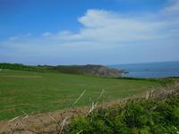 DSCN0235