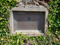 DSCN0240