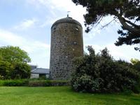 DSCN0247