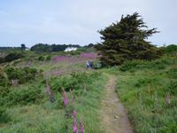 DSCN0256