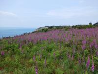 DSCN0259