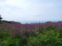 DSCN0260