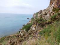 DSCN0264