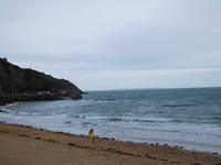 DSCN0306