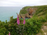 DSCN0314