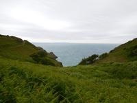 DSCN0315