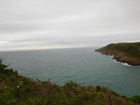 DSCN0320