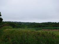 DSCN0351