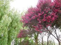 DSCN0392