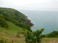 DSCN0442