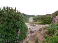 DSCN0459