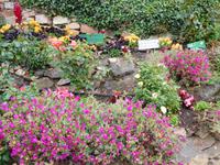 DSCN0483