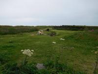 DSCN0499