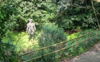 Der Teufel am Wanderweg von Devils Hole