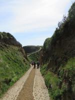 Der Weg zu 
