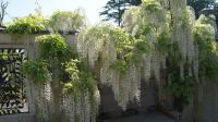 Domaine des Vaux Privatgarten - Jersey