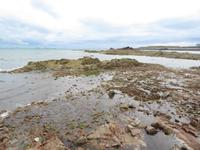 Ebbe