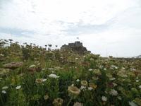 Elisabeth Castle