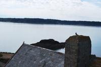 Elizabeth Castle
