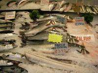 Fischtheke