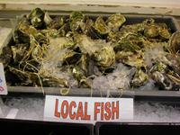 Fischtheke