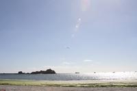 Flugshow 
