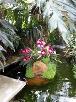 GB_JERS9_12802_101052