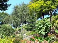 GB_JERS9_12802_113133