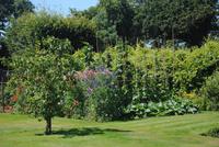 Garten Grey Gables