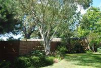 Garten Grey Gables