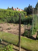 Garten Mrs. Lies