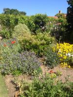 Garten Mrs. Lies