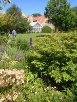 Garten Mrs. Lies