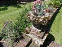 Gartentour (12)