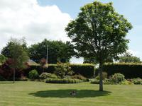 Gartentour (13)