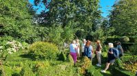 Gartentour auf Jersey - im Kräutergarten von Mrs Binnie