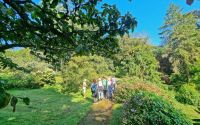 Gartentour auf Jersey - im Privatgarten von Mrs Binnie