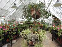 Gartentour