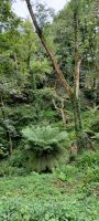 Gartentour