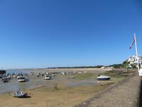 Gorey