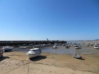 Gorey