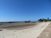 Gorey