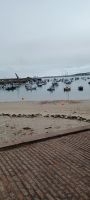 Gorey