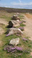 Grosnez Castle - Jersey 
