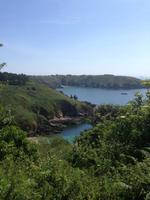 Guernsay
